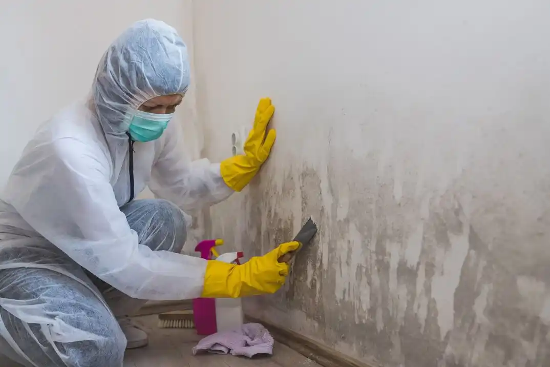 water damage restoration service Southern Orchards